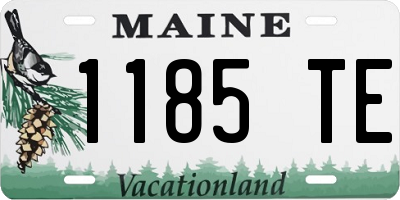 ME license plate 1185TE