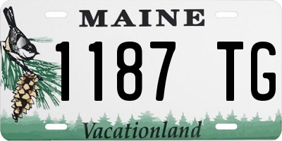 ME license plate 1187TG