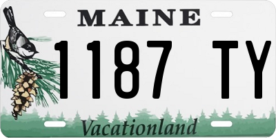 ME license plate 1187TY
