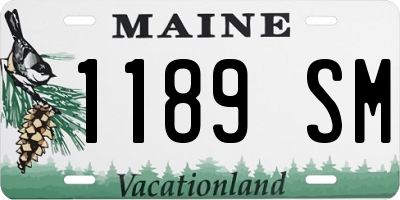 ME license plate 1189SM