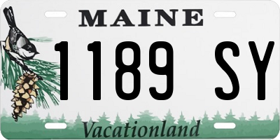 ME license plate 1189SY