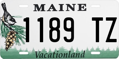 ME license plate 1189TZ