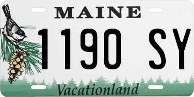ME license plate 1190SY