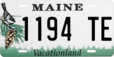 ME license plate 1194TE