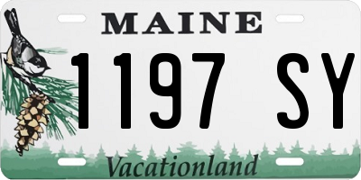 ME license plate 1197SY