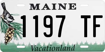 ME license plate 1197TF