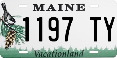 ME license plate 1197TY