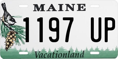 ME license plate 1197UP