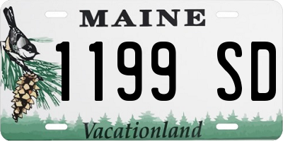 ME license plate 1199SD