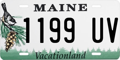 ME license plate 1199UV