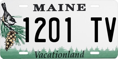 ME license plate 1201TV