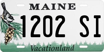 ME license plate 1202SI