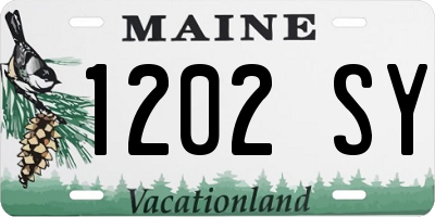 ME license plate 1202SY