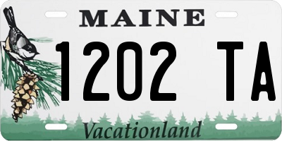 ME license plate 1202TA