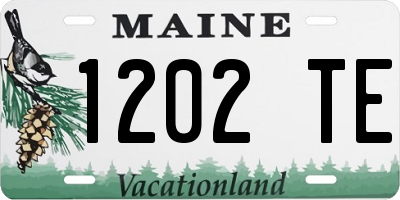 ME license plate 1202TE