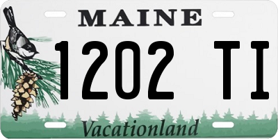 ME license plate 1202TI