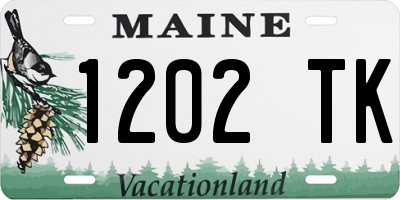 ME license plate 1202TK