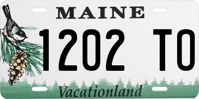 ME license plate 1202TO