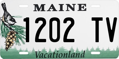 ME license plate 1202TV