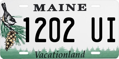 ME license plate 1202UI