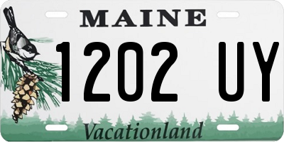 ME license plate 1202UY