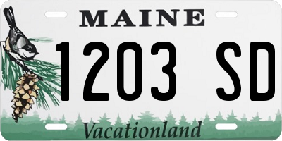 ME license plate 1203SD
