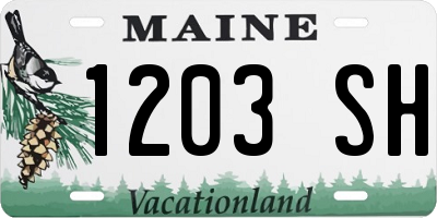 ME license plate 1203SH