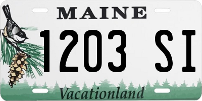 ME license plate 1203SI