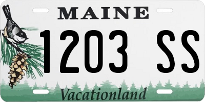 ME license plate 1203SS