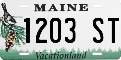 ME license plate 1203ST