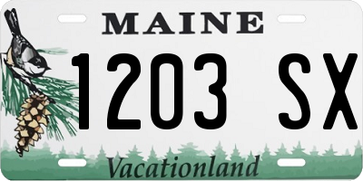 ME license plate 1203SX