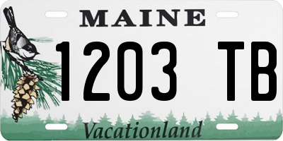 ME license plate 1203TB