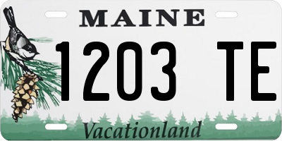 ME license plate 1203TE