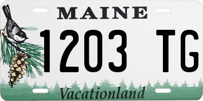 ME license plate 1203TG