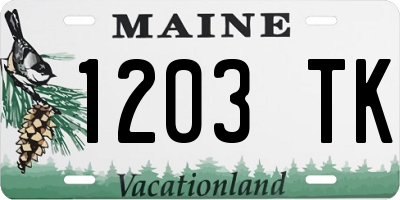 ME license plate 1203TK