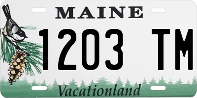 ME license plate 1203TM