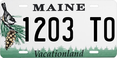 ME license plate 1203TO