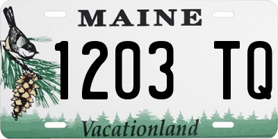 ME license plate 1203TQ