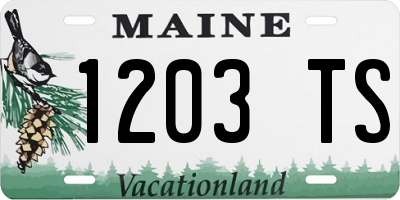 ME license plate 1203TS