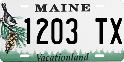 ME license plate 1203TX