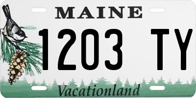 ME license plate 1203TY