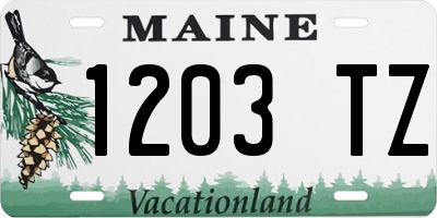 ME license plate 1203TZ