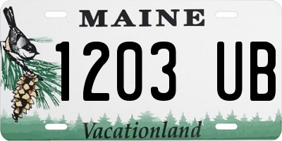 ME license plate 1203UB