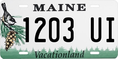 ME license plate 1203UI