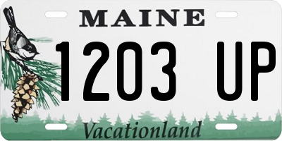 ME license plate 1203UP