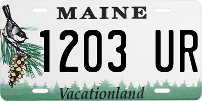 ME license plate 1203UR
