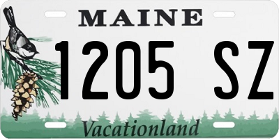 ME license plate 1205SZ