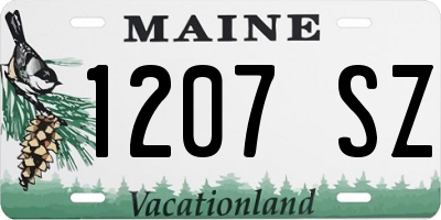 ME license plate 1207SZ