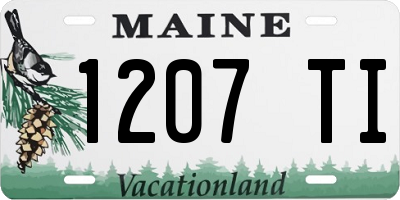 ME license plate 1207TI