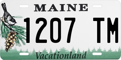ME license plate 1207TM